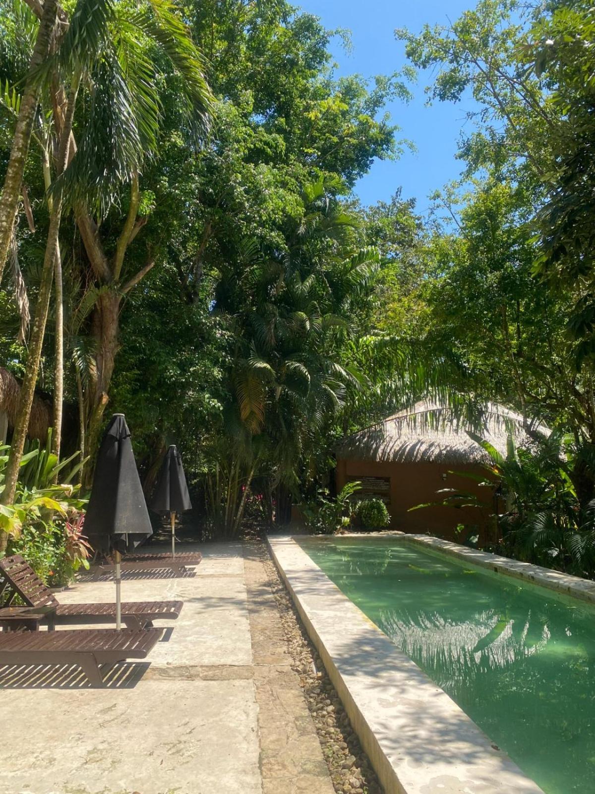 Piedra De Agua Palenque Hotel Exterior photo